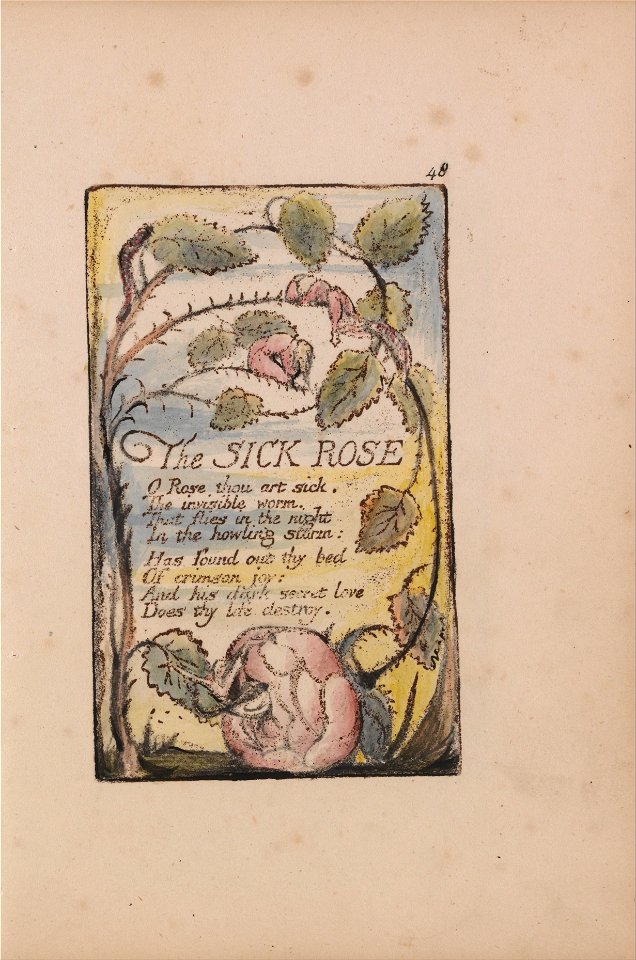 William Blake - Songs of Innocence and of Experience, Plate 48, The Sick Rose (Bentley 39) - Google Art Project