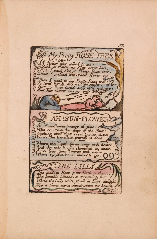 William Blake - Songs of Innocence and of Experience, Plate 53, My Pretty Rose Tree, Ah! Sun-Flower, The Lilly... - Google Art Project
