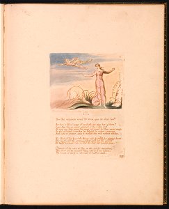William Blake - The Book of Thel, Plate 6, III. , Then Thel astonish'd . . . . - Google Art Project (2377002). Free illustration for personal and commercial use.