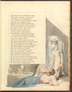 William Blake - Young's Night Thoughts, Page 7, Till at Death's toll, whose restless iron tongue - Google Art Project