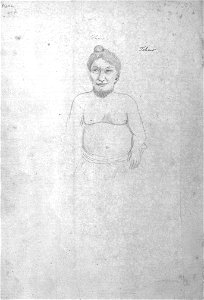 William Ellis, Tohaw, 1777
