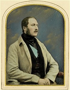 William Edward Kilburn - Prince Albert (1819-61) - Google Art Project