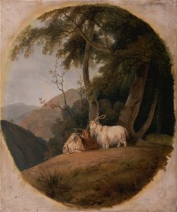 William Daniell - Kashmir Goats - Google Art Project