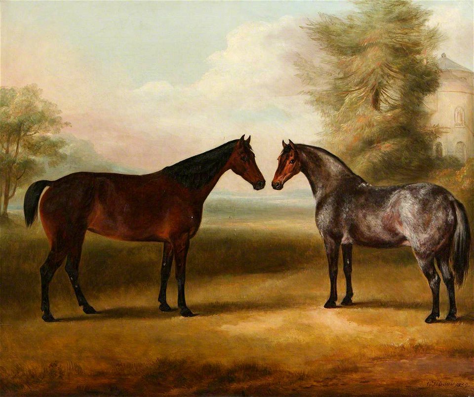 William Henry Davis (1786-1865) - A Pair of Horses - 609104 - National Trust
