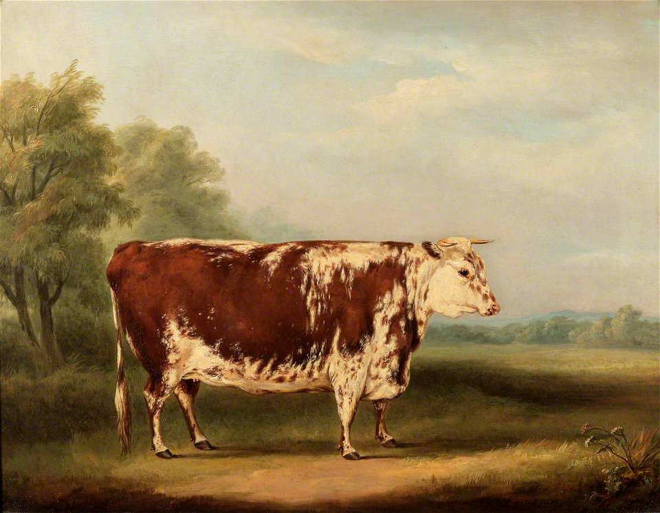 William Henry Davis (1786-1865) - Hereford Cow - 609109 - National Trust