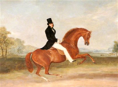 William Henry Davis (1786-1865) - Sir Henry Paget (1797–1869), Earl of Uxbridge, Later 2nd Marquess of Anglesey - 1175969 - National Trust