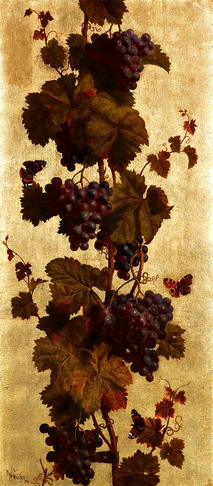 William Hughes Weinreben rot 1886