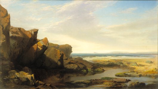 William Hart - Pools by the Seaside - 1863-8 - Albright–Knox Art Gallery