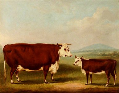 William Henry Davis (1786-1865) - Prize Cow and Calf - 609118 - National Trust