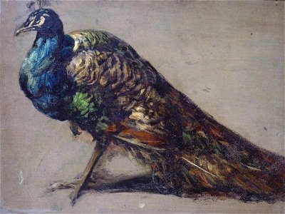 William Etty (1787-1849) - Study of a Peacock for 'The Judgement of Paris' - NG4384 - National Gallery. Free illustration for personal and commercial use.