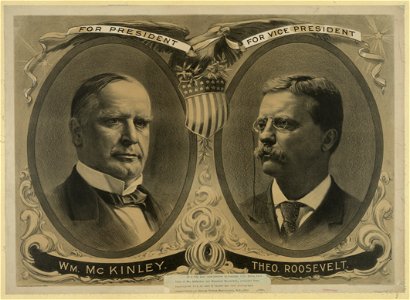 William McKinley LCCN2003677509