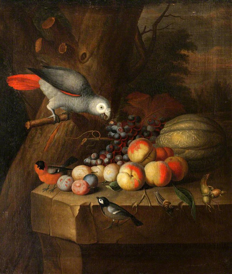 William Jones (active 1764-1782) (attributed to) - Still Life with a Parrot and Fruit - 1151327 - National Trust