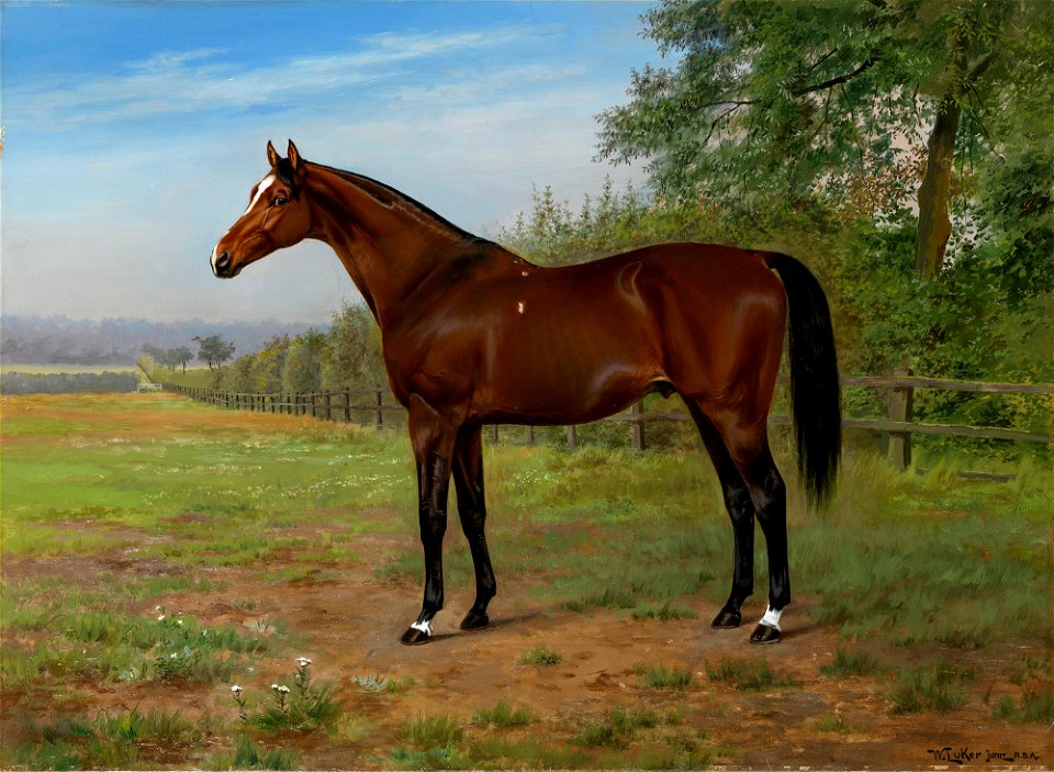 William Luker II (1867-c. 1948) - Florizell II - RCIN 407383 - Royal Collection