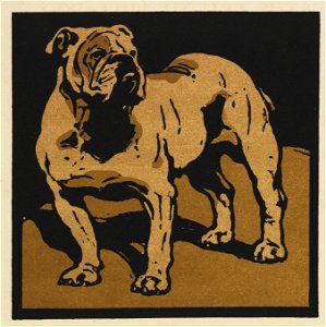 William Nicholson (British, 1872-1949) - The Square Book of Animals, The British Bull-Dog - 2010.638 - Cleveland Museum of Art. Free illustration for personal and commercial use.