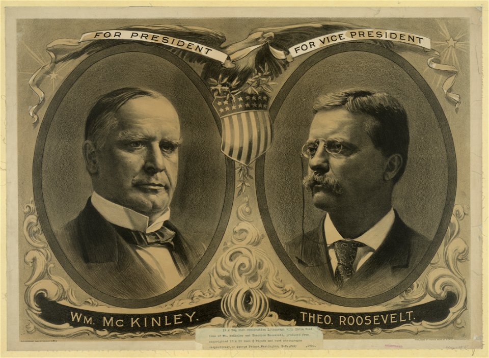 William McKinley LCCN2003677509