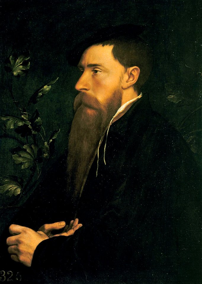 William Reskimer (1) by Hans Holbein the Younger