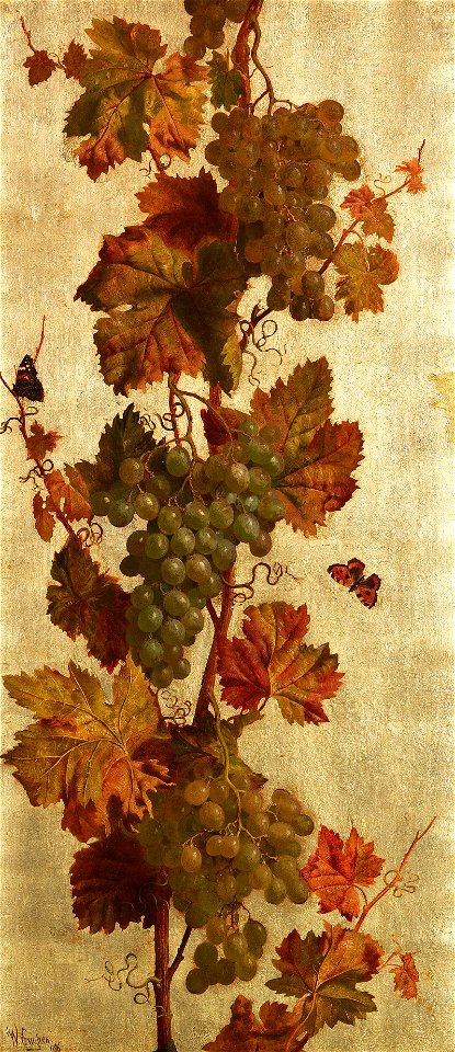 William Hughes Weinreben weiss 1886