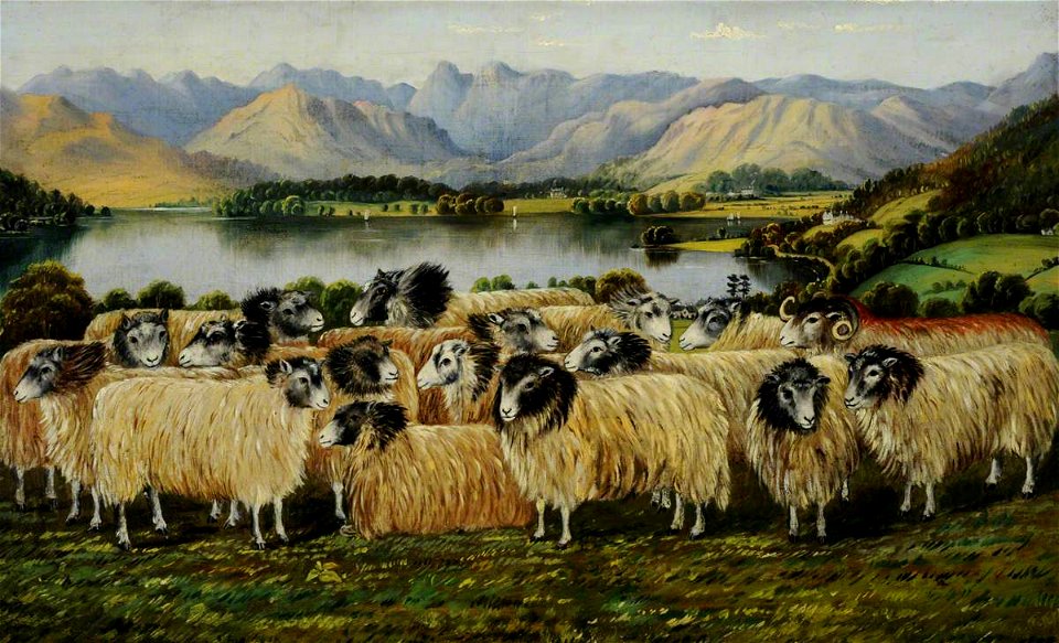 William Taylor Longmire (1841-1914) - View of Windermere and Langdale Pikes from Low Wood, with a Flock of Seventeen Herdwick Sheep - 478844 - National Trust
