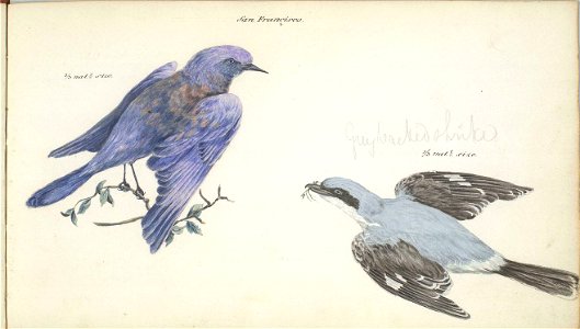 William Smyth two birds