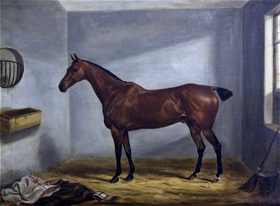William Webb (1790-1856) - A Bay Hunter in a Loose Box - 1271084 - National Trust