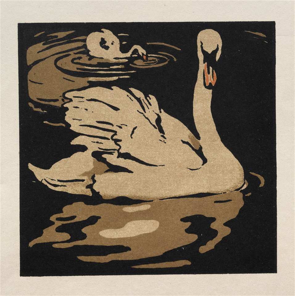 William Nicholson (British, 1872-1949) - The Square Book of Animals, The Beautiful Swan - 1940.873 - Cleveland Museum of Art