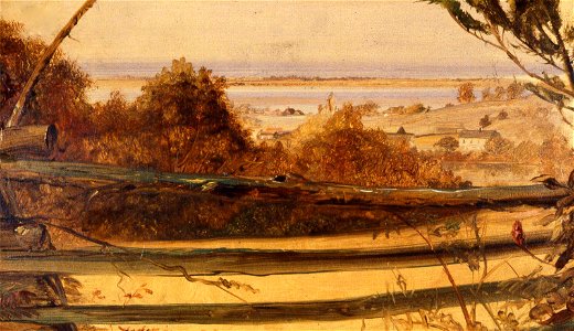 William Sidney Mount - The Fence on the Hill - 48.460 - Museum of Fine Arts