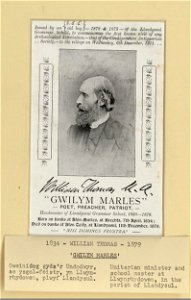 William Thomas M.A. Gwilym Marles poet, preacher, patriot -- Headmaster of Llandyssul Grammar School, 1860-1879 (5449766)