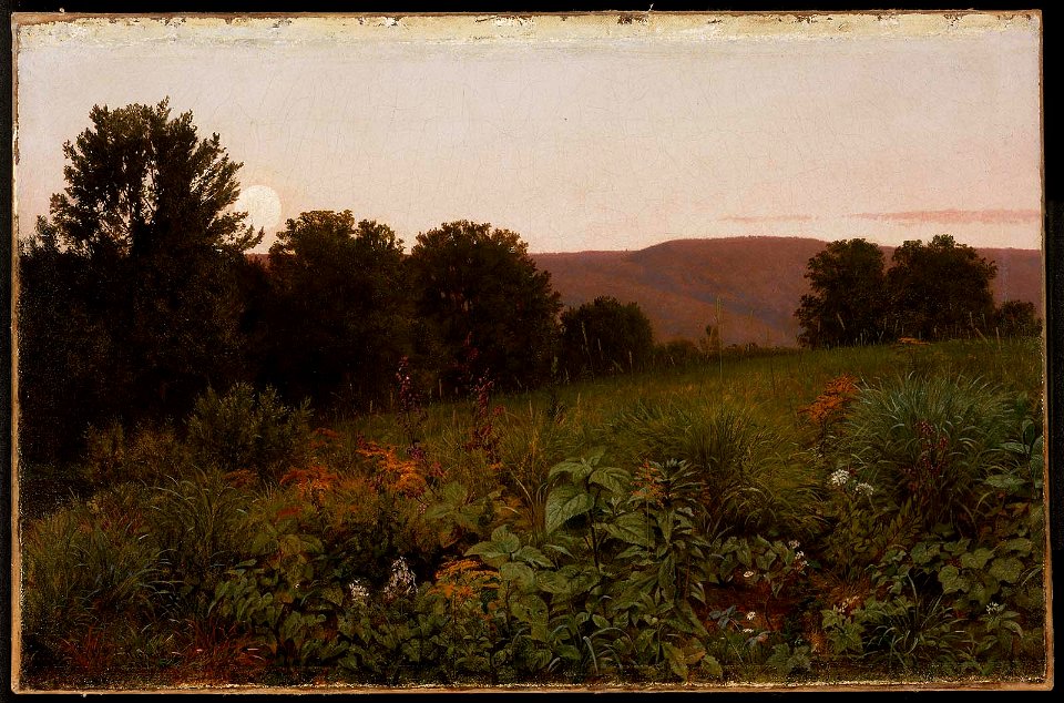 William Trost Richards - Sunset on the Meadow - 1996.194 - Museum of Fine Arts