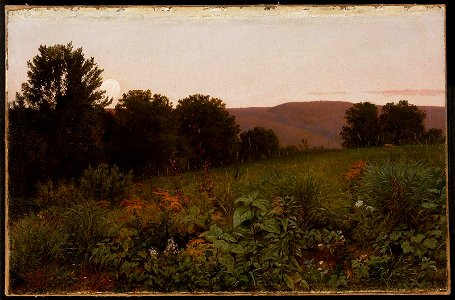 William Trost Richards - Sunset on the Meadow - 1996.194 - Museum of Fine Arts