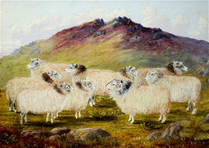 William Taylor Longmire (1841-1914) - Nine Sheep in a Landscape - 478840 - National Trust