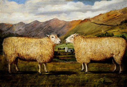 William Taylor Longmire (1841-1914) - Two Sheep in Profile - 478848 - National Trust. Free illustration for personal and commercial use.