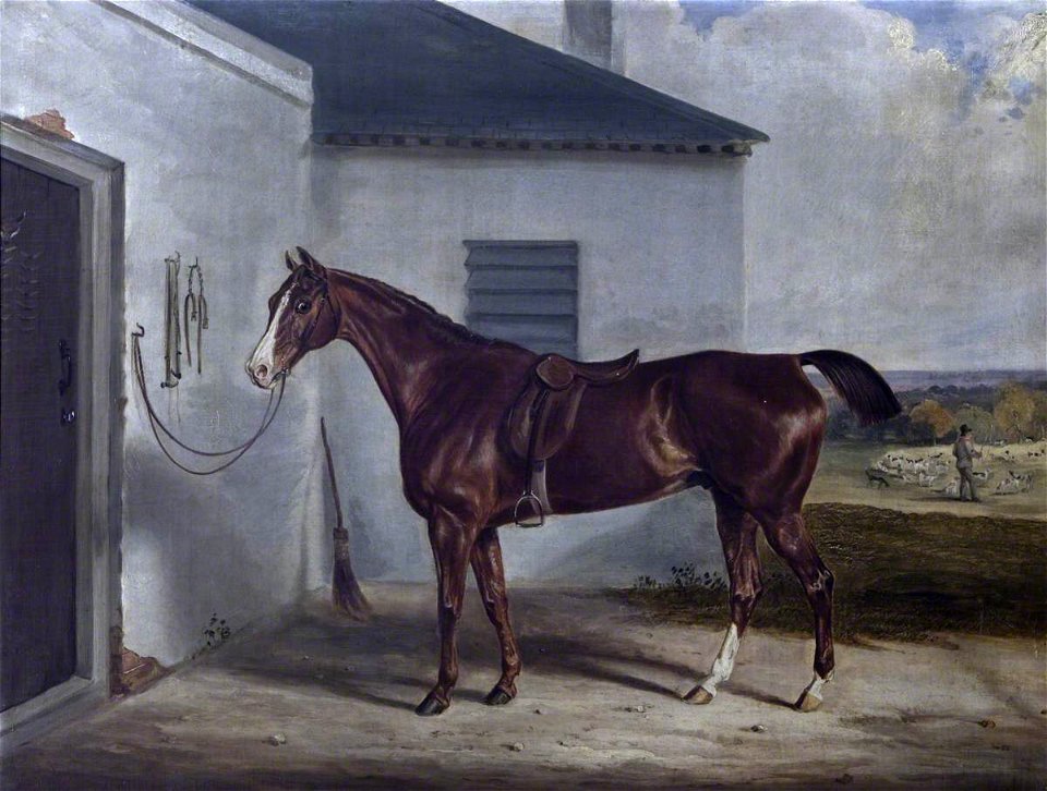 William Webb (1790-1856) - A Chestnut Hunter Saddled, Outside a Stable - 1271078 - National Trust