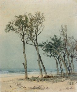 William Trost Richards - 'Trees on the Jersey Shore', watercolor over graphite, 1871,