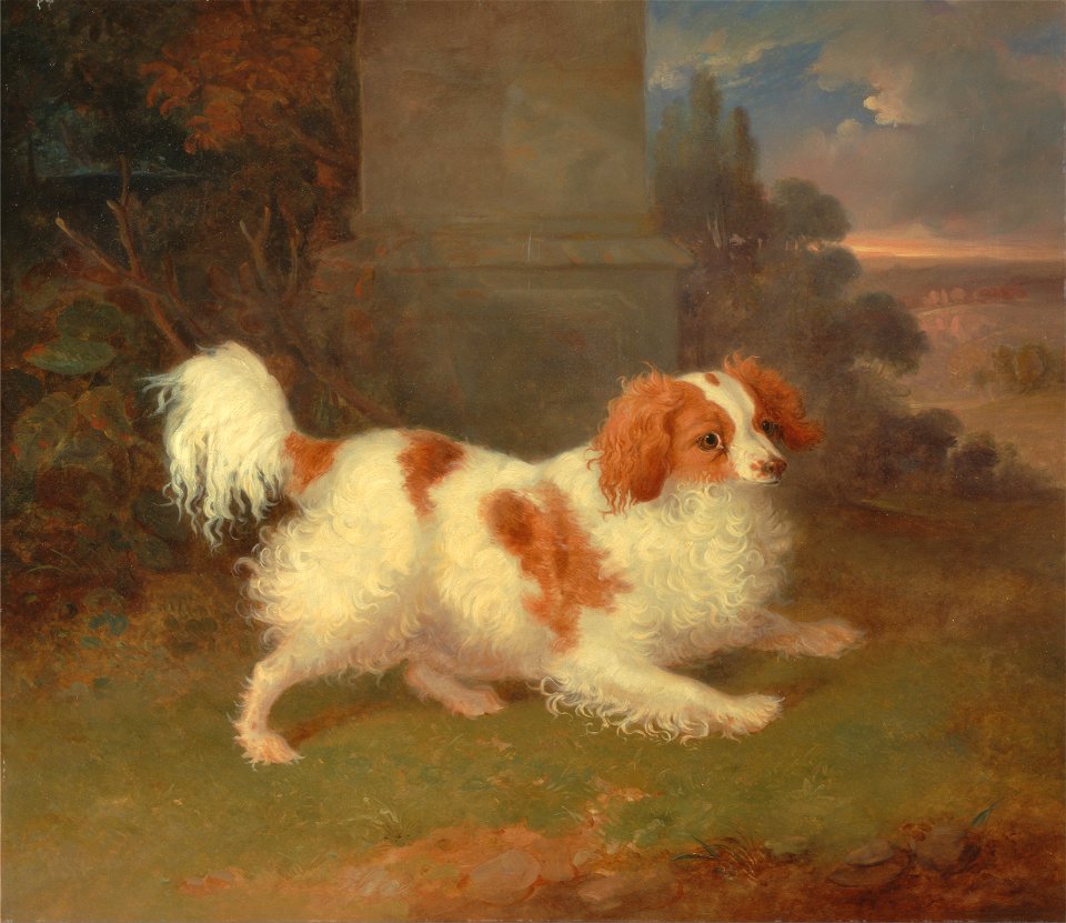 William Webb - A Blenheim Spaniel - Google Art Project