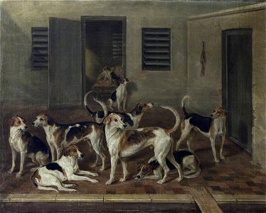 William Webb (1790-1856) - Foxhounds in Kennels - 1271082 - National Trust