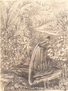 William's Shower Bath at The Spot 20th November 1854, da Coleção Brasiliana Iconográfica