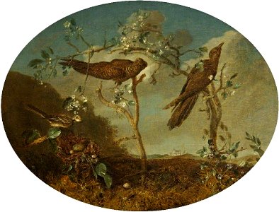 William Tomkins (c.1732-1792) - Cuckoos Displacing a Finch's Egg - 732181 - National Trust