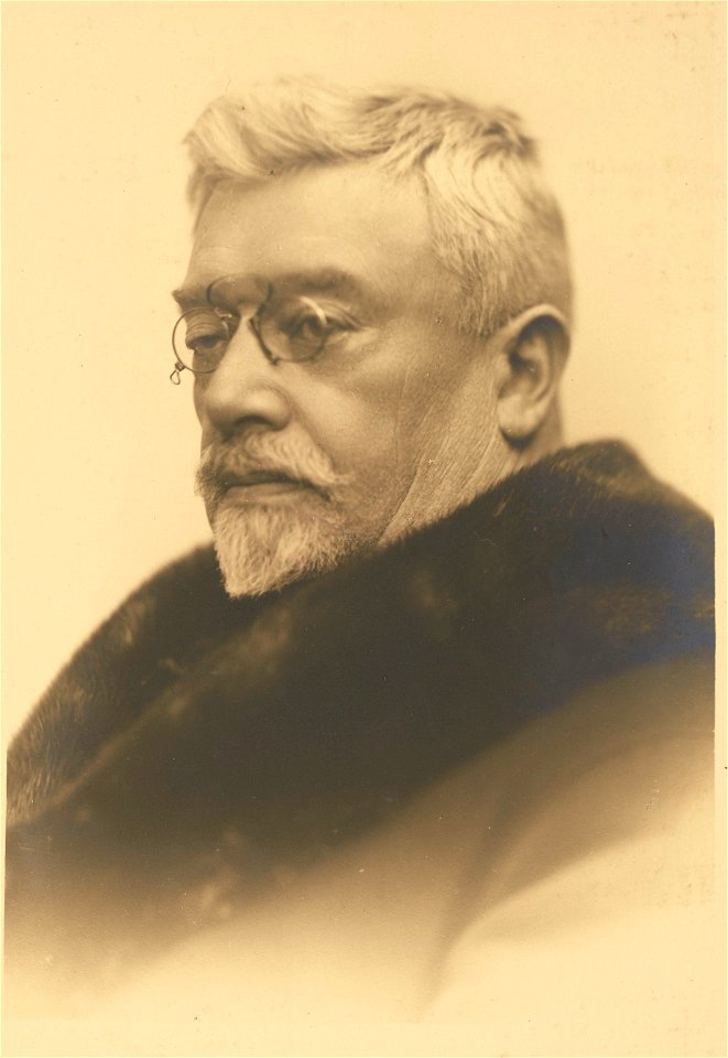 Wincenty Wodzinowski cropped