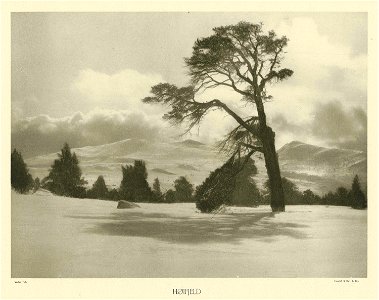 Anders Beer Wilse - Høifjeld - NMK.2007.6443 - National Museum of Art, Architecture and Design