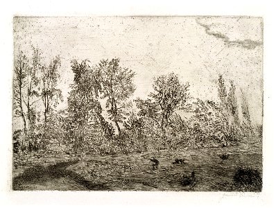 Windstoot in het geboomte, James Ensor, MSK Gent, 1998-B-47-2 (T47)