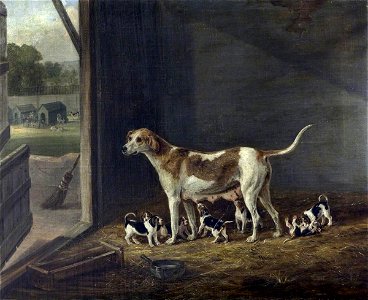 William Webb (1790-1856) - A Foxhound Bitch with Her Litter in a Kennel - 1271080 - National Trust