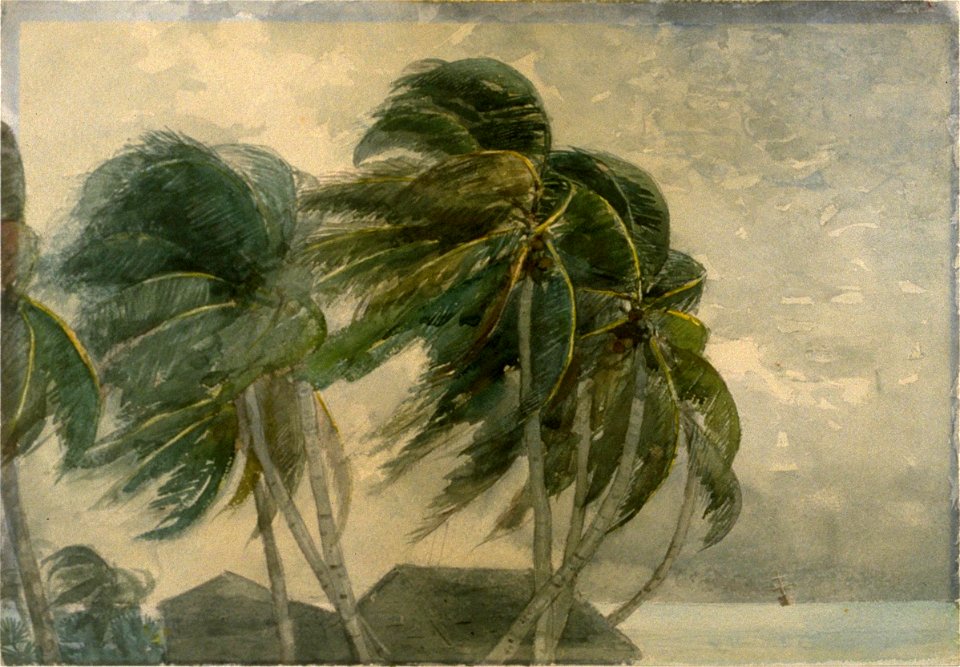 Winslow Homer - A Norther, Key West (1868)