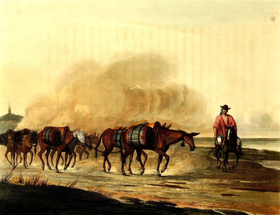 Wine mules from Mendoza