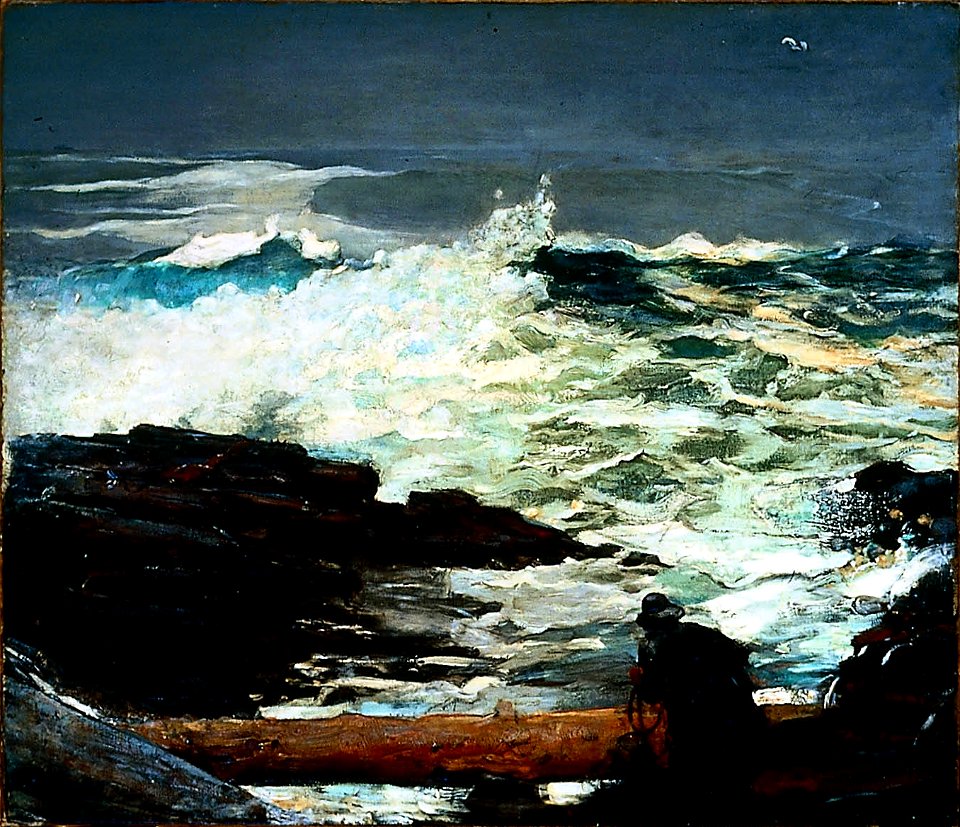 Winslow Homer - Driftwood