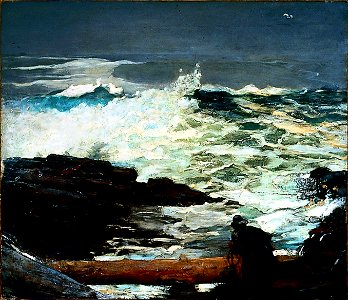 Winslow Homer - Driftwood
