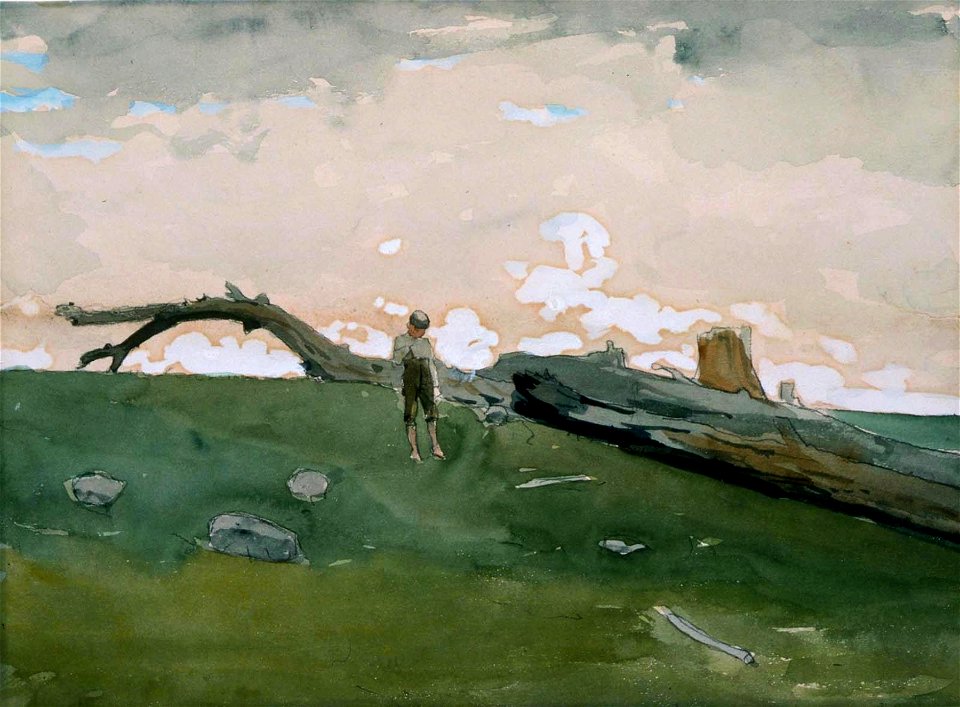 Winslow Homer - Boy and Fallen Tree (1879)