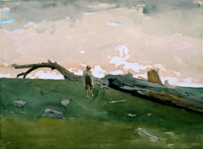 Winslow Homer - Boy and Fallen Tree (1879)