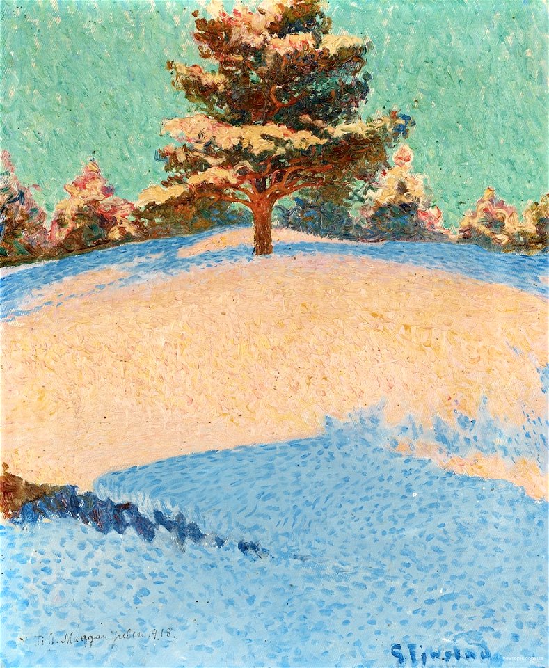 Winter landscape with sunlit pine