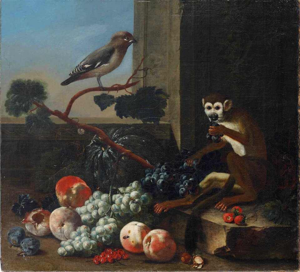 Johann Amandus Winck - Pflaumen, Pfirsiche, Trauben, ein Kürbis, ein Affe und ein Seidenschwanz (1781)
