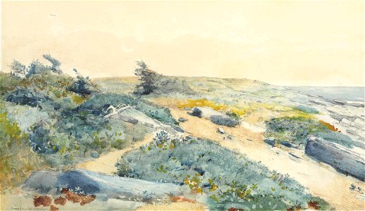 Winslow Homer - Prout's Neck (1883)